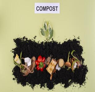 composition-compost-made-rotten- (1).jpg